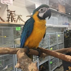 Meet your Posher, Kelli